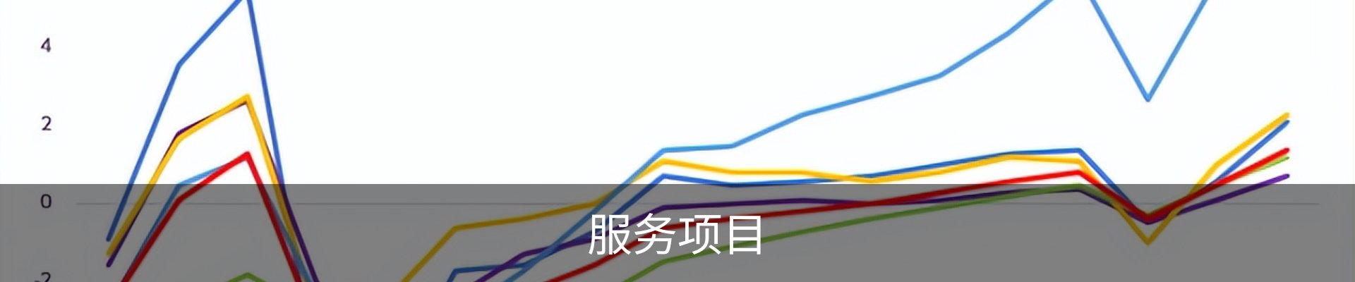 服务项目