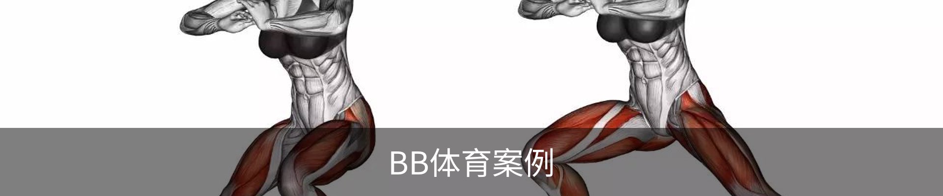 BB体育案例